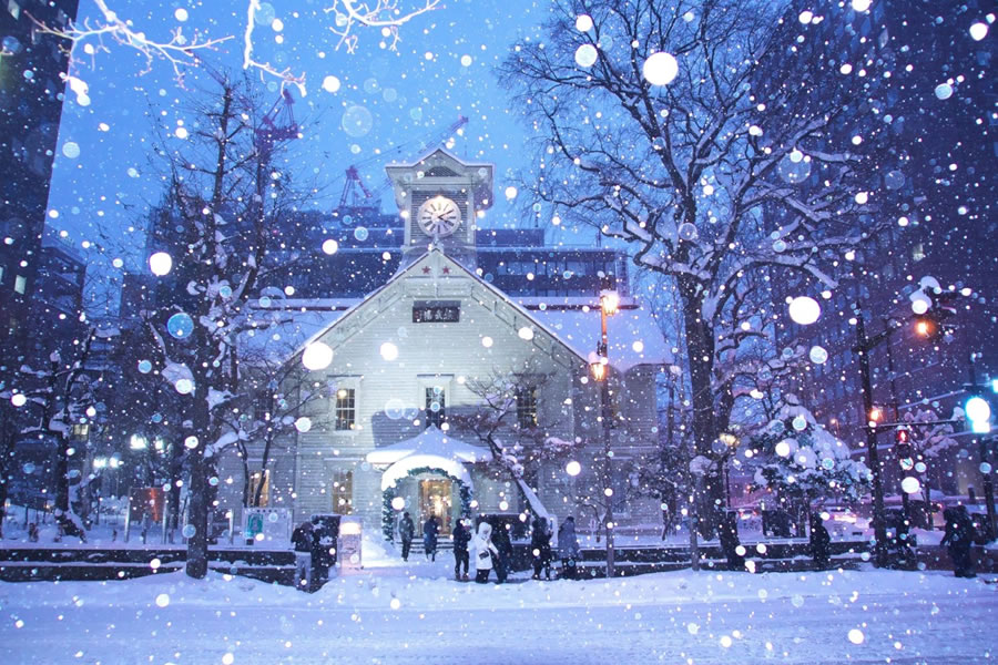 🌨️ 雪国驰骋·自在随行 | 札幌包车，解锁北国秘境之美包车服务